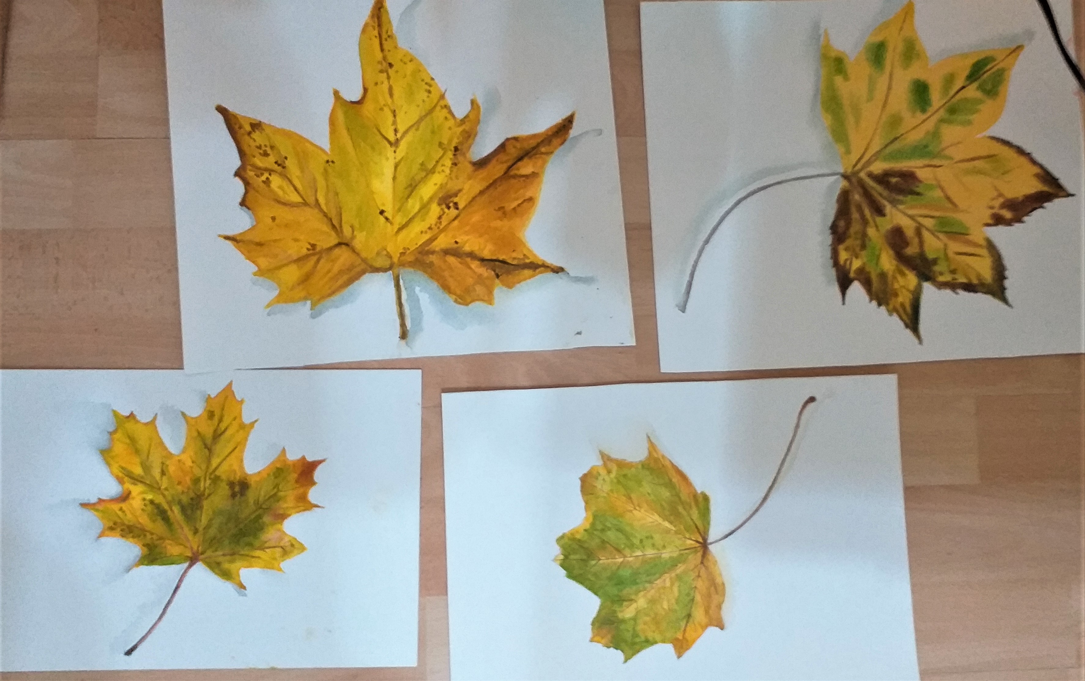 Painting Autumn leaves in Watercolour at Raya’s Art Classes in Kidderminster West Midlands
