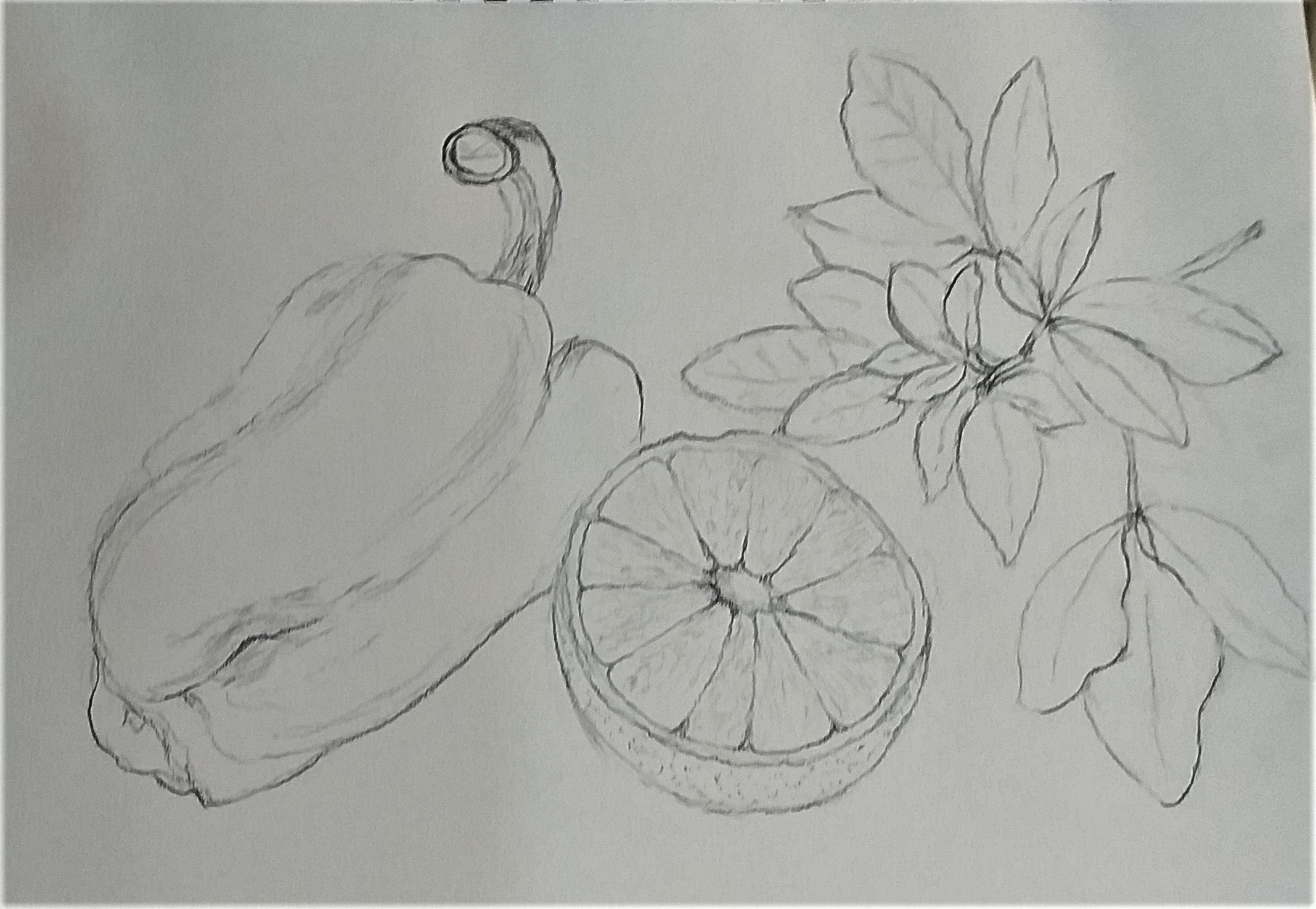  Karen's drawing of natural forms produced at Raya's Art course in Kidderminster