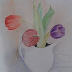 Learn how to use coloured pencils at Raya_s classes